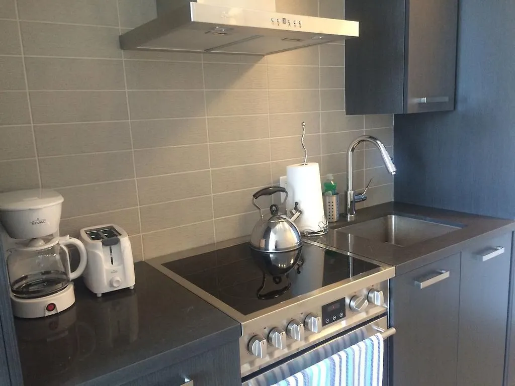 Apartment Elites Suites - One Bedroom Townhouse Condo Toronto Canada